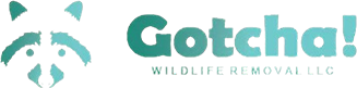 Gotcha Wildlife Removal